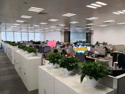 喬遷大吉！級掌柜新辦公空間全面揭秘，科技與舒適完美融合